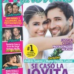 Tv y novelas matrimonio Andrés Suárez