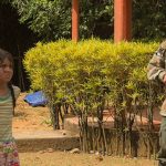 telenovela colombiana